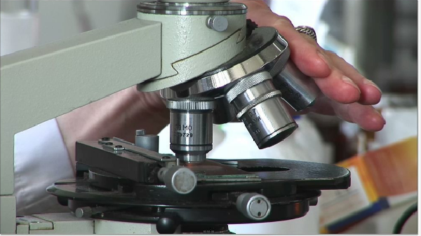 沸騰氯化鎂應(yīng)力腐蝕檢測(cè)注意事項(xiàng)有哪些 沸騰氯化鎂應(yīng)力腐蝕檢測(cè)注意事項(xiàng)有哪些